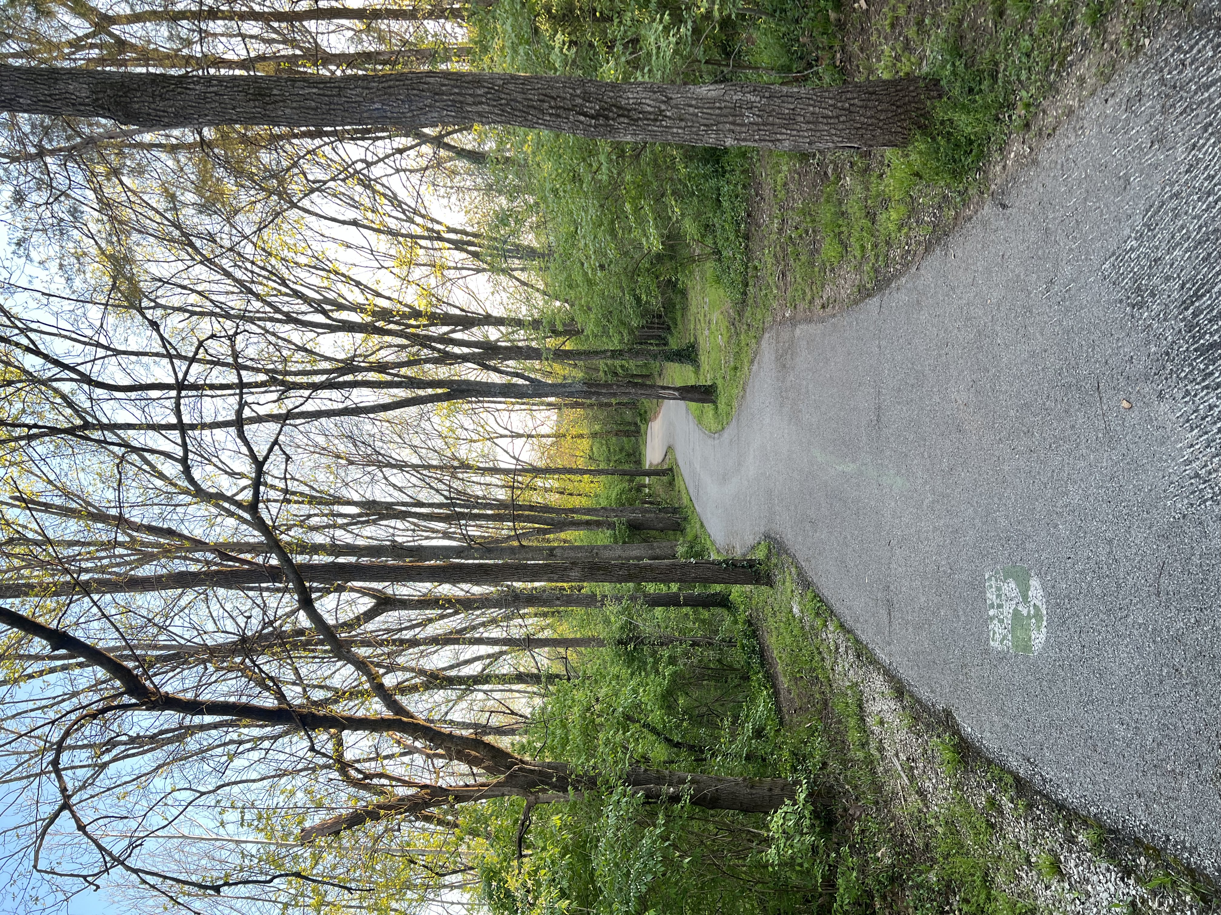 Flood resilience and infrastructure field work